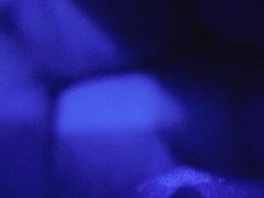 -甘尼仕印度餐厅爵士酒吧(阳春巷店)