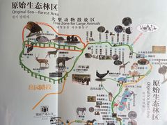 -贵州森林野生动物园