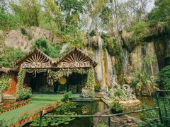 -西双版纳原始森林公园