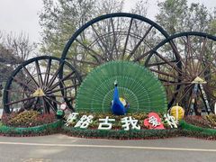 -呀路古热带植物园