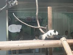 -西安秦岭野生动物园