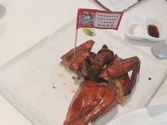 -侨美·唐荔园·40年地道粤菜