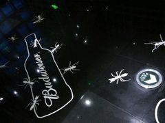 -百威KTV(恒福路店)