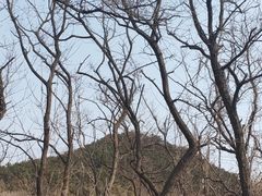 -西尖山公园