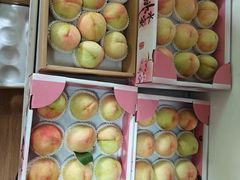 -南汇新场正宗水蜜桃采摘