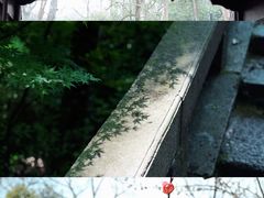 -灵隐飞来峰景区