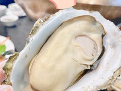 -飞尝蚝·顺德菜·鱼生(顺德总店)