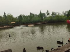 -溱湖国家湿地公园