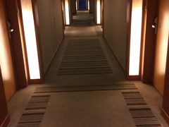 picture-上海浦东康桥绿地假日酒店