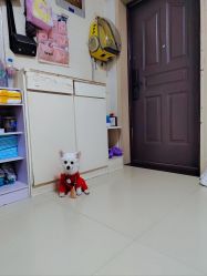 -HEYAN荷妍专业脱毛连锁机构