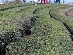 -东钱湖旅游度假区