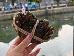 -喜洋洋蟹庄(阳澄湖店)