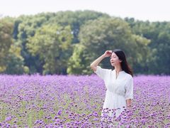 -山明水秀大饭店