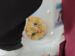 -美联众合动物医院·24h京西诊疗中心