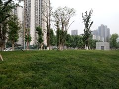 -龙头寺公园