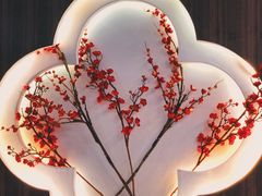 -禧鳳記·猪肚鸡火锅(玖洲道店)