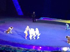 -珠海横琴长隆《卡卡虎奇遇记》