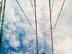 -太湖源风景区