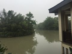 -太极禅苑