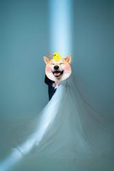 -金夫人婚纱摄影(总店)