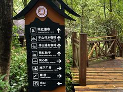 -长谷洞天
