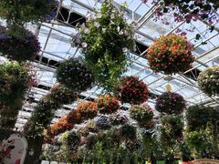 -常州花鸟园酒店(西太湖品牌优选店)