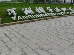 -洋湖国家湿地公园