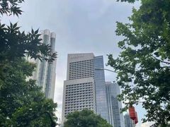 -湖景知味西餐厅•自助餐• 轻食(南京金茂威斯汀大酒店)