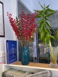 -章光101防脱养发荟