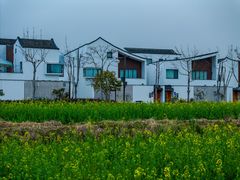 -东梓关景区村庄