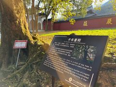 -福清灵石山国家森林公园