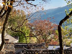 -塔川景区