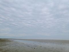 -南汇新城海滩