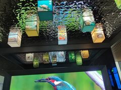 -中国湿地博物馆