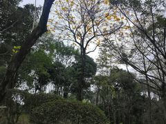 -深圳国际园林花卉博览园