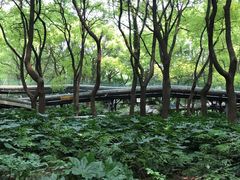 -共青国家森林公园-售票处