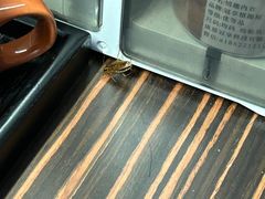 -丽市酒店(苏州平江观前街店)