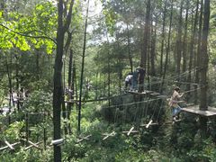 -梦幻奥陶纪景区