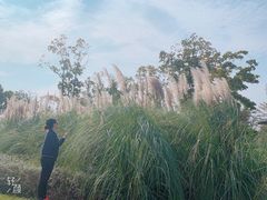 -上海佘山国家森林公园西佘山园