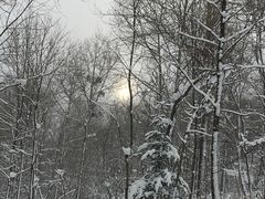 -雪谷