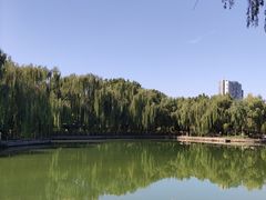 -康庄公园