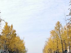 -杭州西湖银泰百货