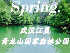 -青龙山国家森林公园