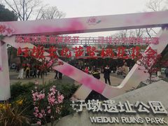 -圩墩遗址公园