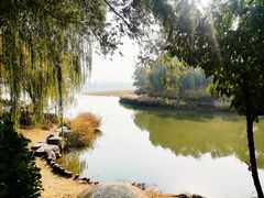 -大兴滨河森林公园