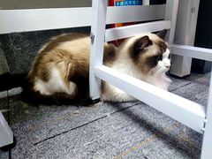 -零纪元VR体验馆·桌游(黄浦店)