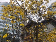 -四川大学华西口腔医院(华西院区)