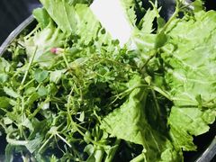 蔬菜-黔府豆米火锅野菜馆(南马店)