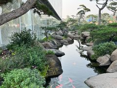 -罗红摄影艺术馆