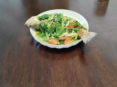 -天鹅到家·保姆月嫂育儿嫂(天河店)